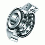 BAC DAN DAC BIET CAC LOAI