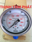 ĐỒNG HỒ ÁP SUẤT WIKA 0-250 BAR