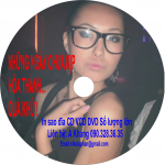 in sang đĩa CD,Ghi đĩa DVD, sao chép VCD số lượng lớn giá tốt nhất Hà Nội