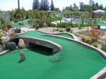 Lưới golf, mini golf, bóng golf