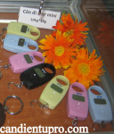 Cân đi chợ mini 10kg