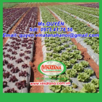 VẢI ĐỊA KỸ THUẬT, MÀNG LÓT HỒ NUÔI TÔM, MÀNG PHỦ NÔNG NGHIỆP