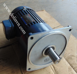 Động cơ giảm tốc dolin, dong co giam tốc dolin, động cơ liền giảm tốc