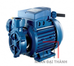 Máy bơm ly tâm dân dụng đầu gang Pentax PM45 0.5HP