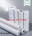 lõi lọc nước xi mạ 20 inch 100 micron