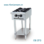 BẾP ÂU 2 HỌNG KHÔNG LÒ NƯỚNG