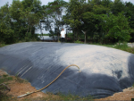 HẬU GIANG, VẢI ĐỊA KỸ THUẬT GIA CƯỜNG 100/50KN/M, VẢI ĐỊA GIA CƯỜNG 200/50KN/M, VẢI ĐỊA GIA CƯỜNG 100/100KN/M, VẢI ĐỊA GIA CƯỜNG 200/200KN/M