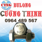 Bulong inox 304