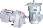 MOTOR GIẢM TỐC TUNG LEE
