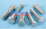 Bulon inox 316