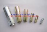 Tắc kê đạn inox, xi