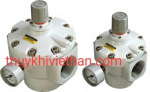 Bộ điều áp cỡ to SAR9025M-20BG  2'