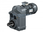 Motor giảm tốc trục song song cốt dương