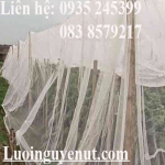 Lưới trồng rau sạch