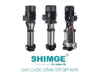 BƠM TRỰC ĐỨNG SHIMGE
