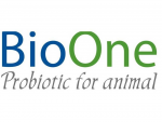 Men vi sinh xử lý đáy ao BioOne cao cấp