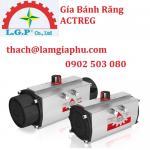 Gía Bánh Răng Acterg