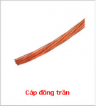 Cáp đồng trần