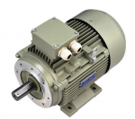 mô tơ STALL / FIRSTALL 3 pha có chân đế