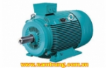 ĐỘNG CƠ ĐIỆN SIEMENS