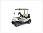 Xe golf điện 2 chỗ
