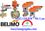 Van Belimo LM24A-S đại lý chính hãng tại Việt Nam