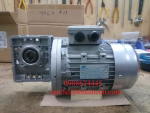ĐỘNG CƠ GIẢM TỐC CHÂU ÂU