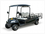 Xe golf điện chở hàng