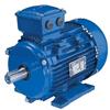 SLA series motors