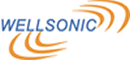 Xiamen Wellsonic Electronics Co., Ltd.
