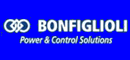 BONFIGLIOLI VIETNAM LTD