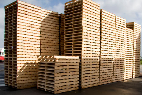Pallet Gỗ , Nội Thất & Vách Ngăn Văn Phòng