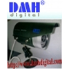 Camera hồng ngoại ngoài trời DMH-4812A