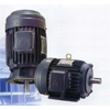 MOTOR HẠ THẾ 1PHASE - 3PHASE