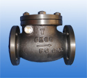 check valve 