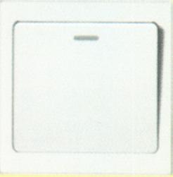 Công tắc đơn lớn