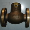 bronze check valves