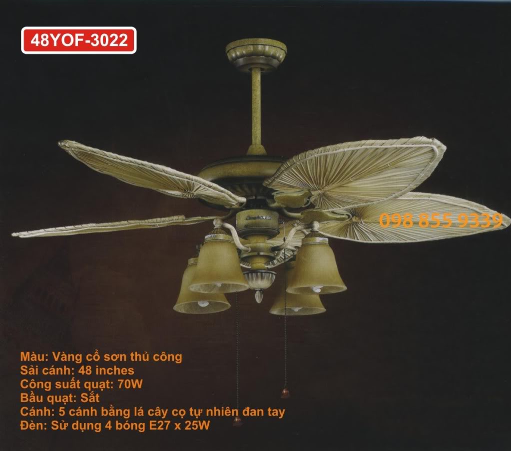 Công ty TNHH Tân Mỹ